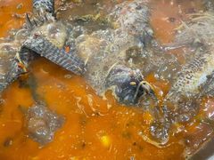 罗非鱼-马街老字号罗非鱼庄(昙华寺店)