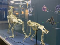 -国家自然博物馆