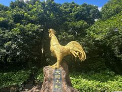 -海口火山口国家地质公园