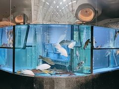 -王家渡火锅店(棕榈泉店)