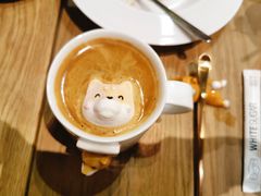 -柴务处·柴犬主题狗咖