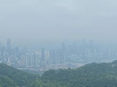 -大金鹰园