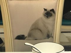 -猫先生时尚火锅(桂平路店)