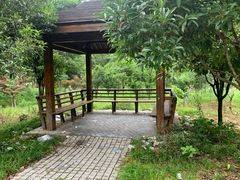 -素山寺森林公园