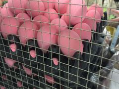 -瓦洛洛传统市场