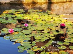 -天宁寺