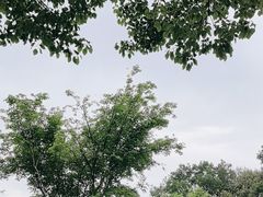 -庐山西海主景区
