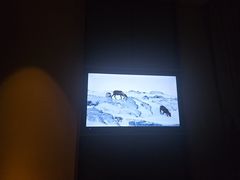 -浅深(北京北四环精品店)