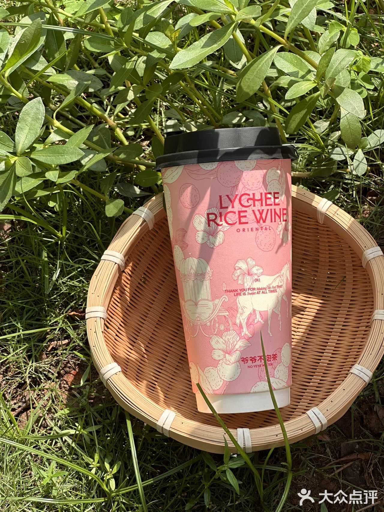 爷爷不泡茶新店开业📣，将夏日茶香娓娓道来🎵