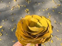 -重元寺香积厨素斋馆