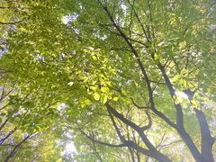 -兴隆点心店(新北街店)