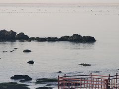-海岛日记(养马岛店)