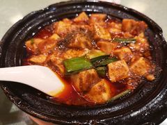 金牌麻婆豆腐-陈麻婆豆腐总店