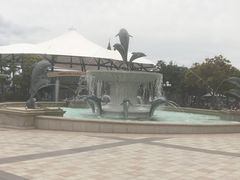 -芽庄珍珠岛游乐园