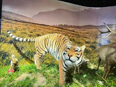 -北京麋鹿生态实验中心