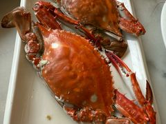 -华盛丰温州大排档(东三环南路店)