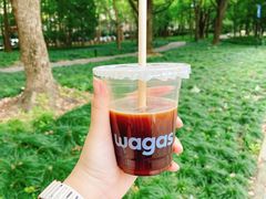 -Wagas沃歌斯(汇智店)