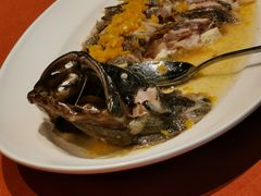 -船歌·鱼水饺青岛菜(闽江二路店)