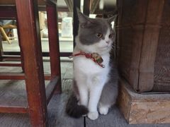-梅城古镇