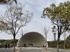 -吴淞炮台湾湿地森林公园烧烤区