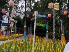 -嘉兴清池酒店温泉