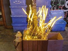 -后院烤吧·木炭烧烤·烤鱼·云贵川火锅(忻州古城店)