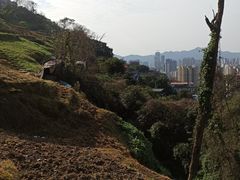 -重庆平顶山公园