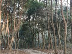 -雨花胜境