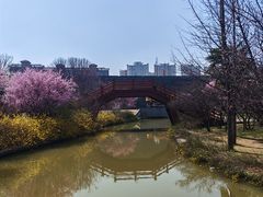 -洛阳市隋唐城遗址植物园