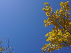 -天鹅湖体育公园