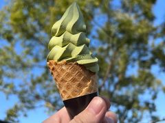 -CoCo都可(大兴凯德MALL店)