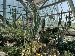 -南山植物园