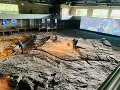 -自贡恐龙博物馆