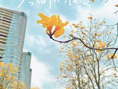 -洲头咀公园