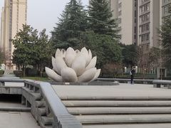 -木塔寺遗址生态公园