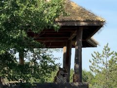 -鄂尔多斯野生动物园