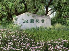 -海淀公园