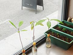 -Punchline Coffee&Roaster(同济大学店)