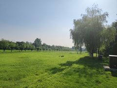 -汉长安城未央宫国家考古遗址公园