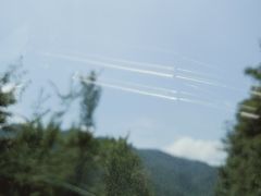 -武陵山森林公园