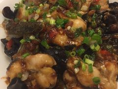 豉汁蒸寻龙鱼-朱仔记食府(江南大道店)