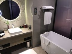 -南京禄口机场雅高铂尔曼大酒店