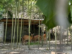 -鹿院坪生态旅游景区