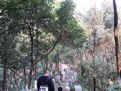 -龙头寺公园