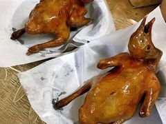 -光明农场大观园