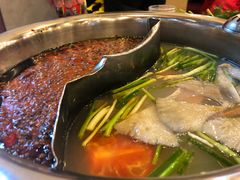 -朱氏胖子烂火锅(洪崖洞店)