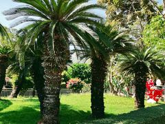 -三亚湾海居雅高铂尔曼度假酒店