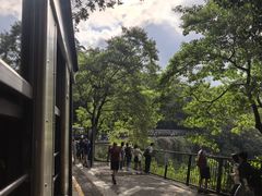 -热带雨林自然公园