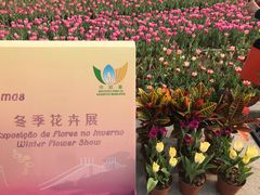 -龙环葡韵住宅式博物馆