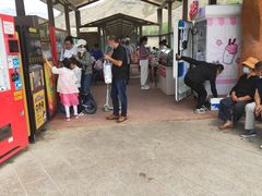 -新疆天山野生动物园